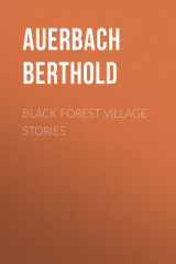 книга Black Forest Village Stories