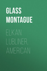 книга Elkan Lubliner, American