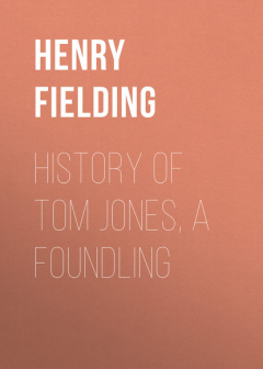 Книга History of Tom Jones, a Foundling на ReadRate.com книга History of Tom Jones, a Foundling
