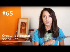 Книга Страшнее кошки зверя нет на ReadRate.com книга Страшнее кошки зверя нет