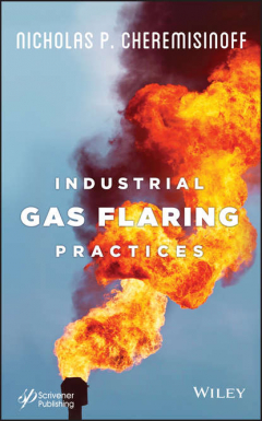 Книга Industrial Gas Flaring Practices на ReadRate.com книга Industrial Gas Flaring Practices