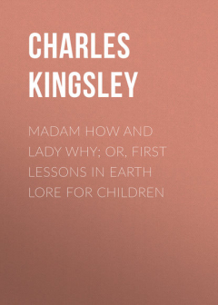 Книга Madam How and Lady Why; Or, First Lessons in Earth Lore for Children на ReadRate.com книга Madam How and Lady Why; Or, First Lessons in Earth Lore for Children