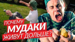 Книга Почему мудаки живут дольше? на ReadRate.com книга Почему мудаки живут дольше?