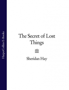 Книга The Secret of Lost Things на ReadRate.com книга The Secret of Lost Things