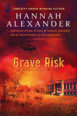 книга Grave Risk