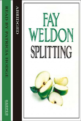 книга Splitting