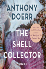книга Shell Collector