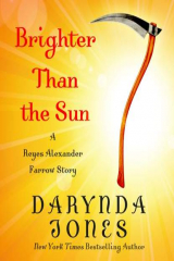 книга Brighter Than the Sun