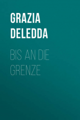 книга Bis an die Grenze