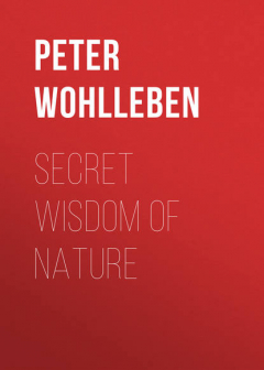 Книга Secret Wisdom of Nature на ReadRate.com книга Secret Wisdom of Nature