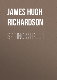 Книга Spring Street на ReadRate.com книга Spring Street