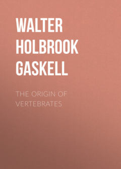 Книга The Origin of Vertebrates на ReadRate.com книга The Origin of Vertebrates