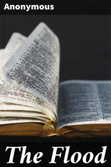 книга The Flood