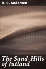 книга The Sand-Hills of Jutland