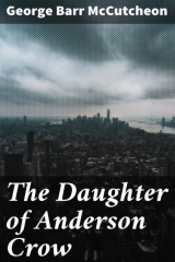 книга The Daughter of Anderson Crow