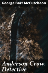 книга Anderson Crow, Detective