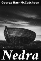 книга Nedra