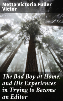 Книга The Bad Boy at Home, and His Experiences in Trying to Become an Editor на ReadRate.com книга The Bad Boy at Home, and His Experiences in Trying to Become an Editor