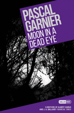 Книга Moon in a Dead Eye: Shocking, hilarious and poignant noir на ReadRate.com книга Moon in a Dead Eye: Shocking, hilarious and poignant noir
