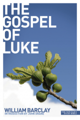 книга Gospel of Luke
