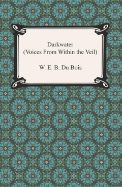 Книга Darkwater (Voices from Within the Veil) на ReadRate.com книга Darkwater (Voices from Within the Veil)