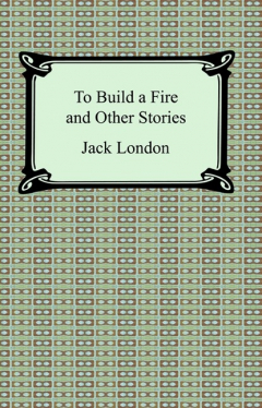 Книга To Build a Fire and Other Stories на ReadRate.com книга To Build a Fire and Other Stories