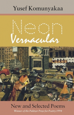 Книга Neon Vernacular на ReadRate.com книга Neon Vernacular