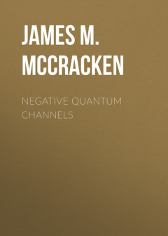 Книга Negative Quantum Channels на ReadRate.com книга Negative Quantum Channels