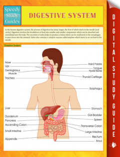 Книга Digestive System Speedy Study Guides на ReadRate.com книга Digestive System Speedy Study Guides
