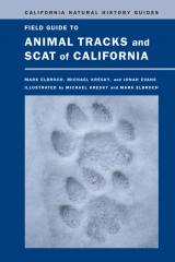 книга Field Guide to Animal Tracks and Scat of California
