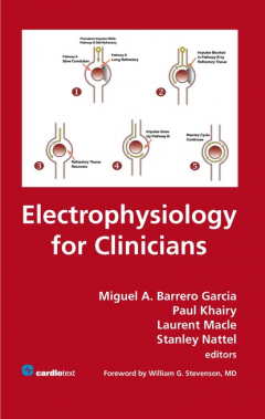 Книга Electrophysiology for Clinicians на ReadRate.com книга Electrophysiology for Clinicians