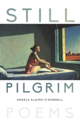 книга Still Pilgrim