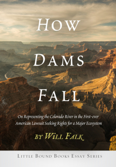 Книга How Dams Fall на ReadRate.com книга How Dams Fall