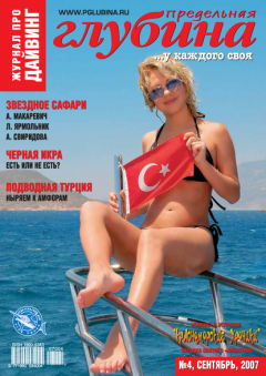 книга Предельная глубина №4/2007