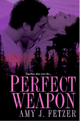 книга Perfect Weapon