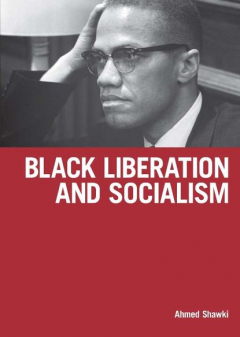 Книга Black Liberation and Socialism на ReadRate.com книга Black Liberation and Socialism