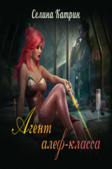 книга Агент алеф-класса