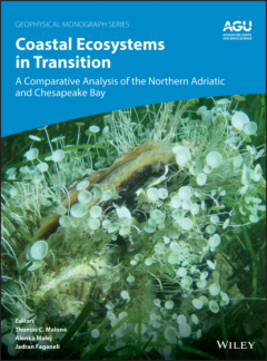 Книга Coastal Ecosystems in Transition на ReadRate.com книга Coastal Ecosystems in Transition