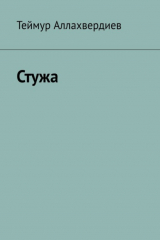 книга Стужа