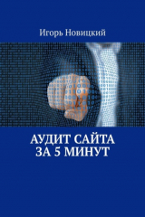 книга Аудит сайта за 5 минут