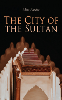 Книга The City of the Sultan на ReadRate.com книга The City of the Sultan