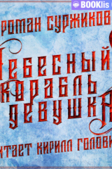 книга Небесный корабль и девушка