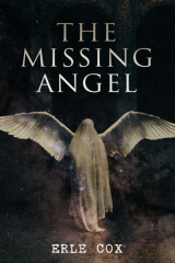 книга The Missing Angel