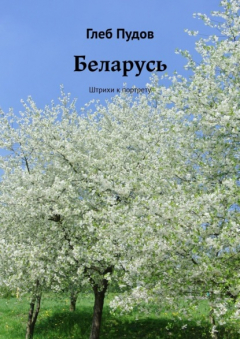 Книга Беларусь. Штрихи к портрету на ReadRate.com книга Беларусь. Штрихи к портрету