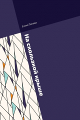 книга На скользкой крыше