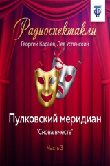 книга Пулковский меридиан. Часть 3. «Снова вместе»