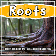 Книга Roots: Discover Pictures and Facts About Roots For Kids! на ReadRate.com книга Roots: Discover Pictures and Facts About Roots For Kids!
