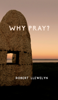 Книга Why Pray? на ReadRate.com книга Why Pray?