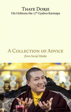 Книга A Collection of Advice на ReadRate.com книга A Collection of Advice