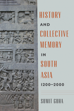 Книга History and Collective Memory in South Asia, 1200–2000 на ReadRate.com книга History and Collective Memory in South Asia, 1200–2000